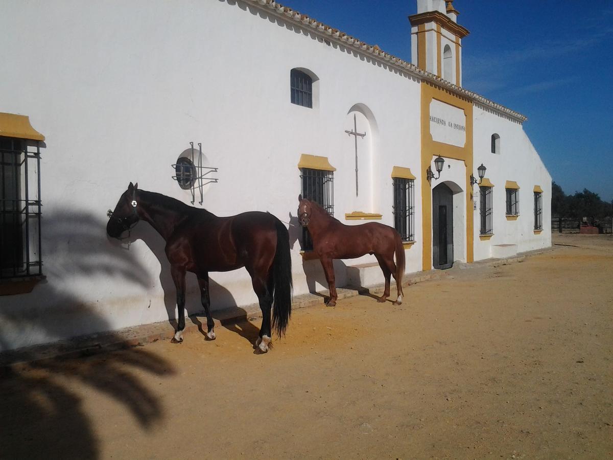 Hacienda La Indiana Hotel Los Palacios Y Villafranca Buitenkant foto